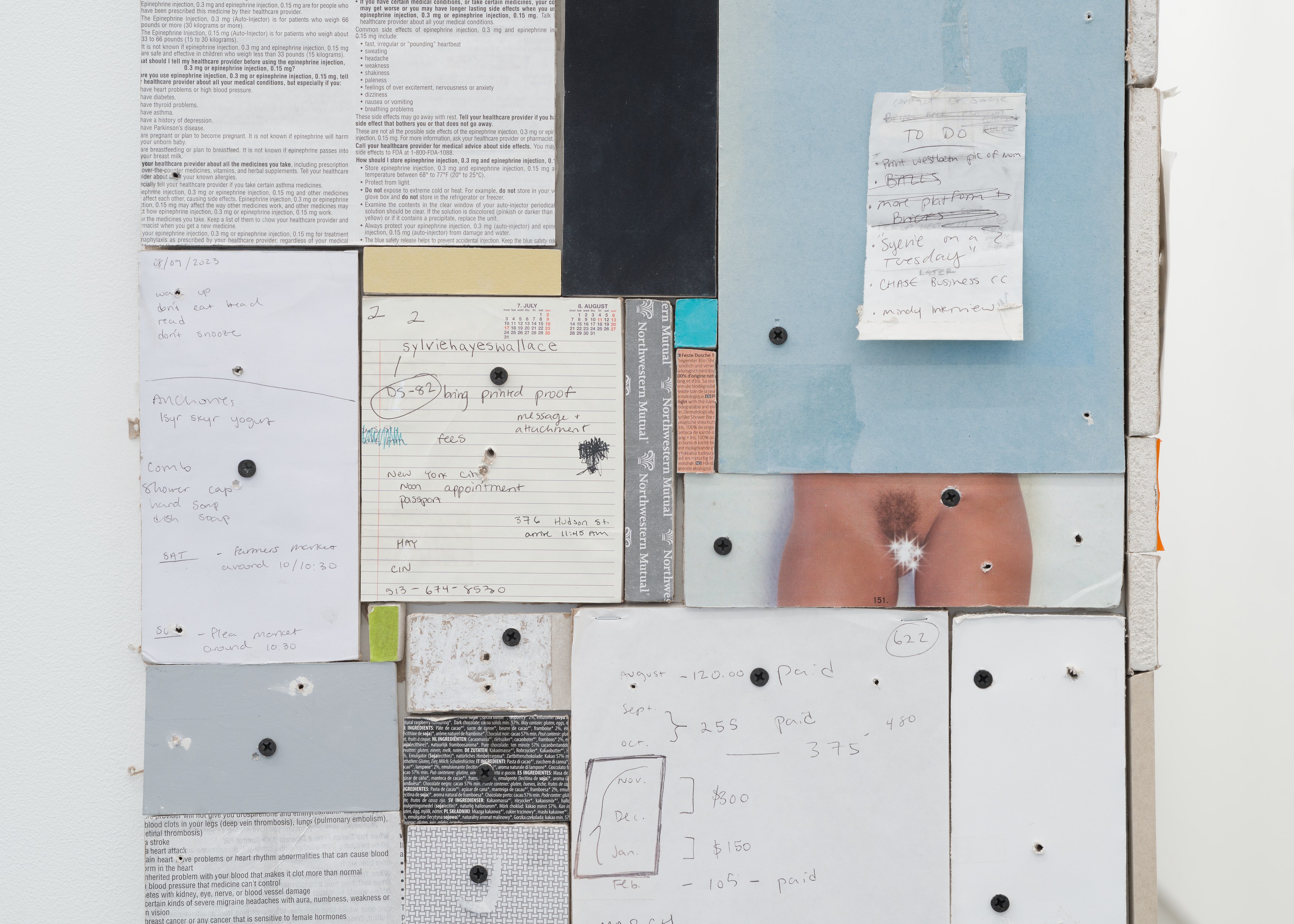 Sylvie Hayes-Wallace, Locked From the Inside at Chapter NY, photo 13