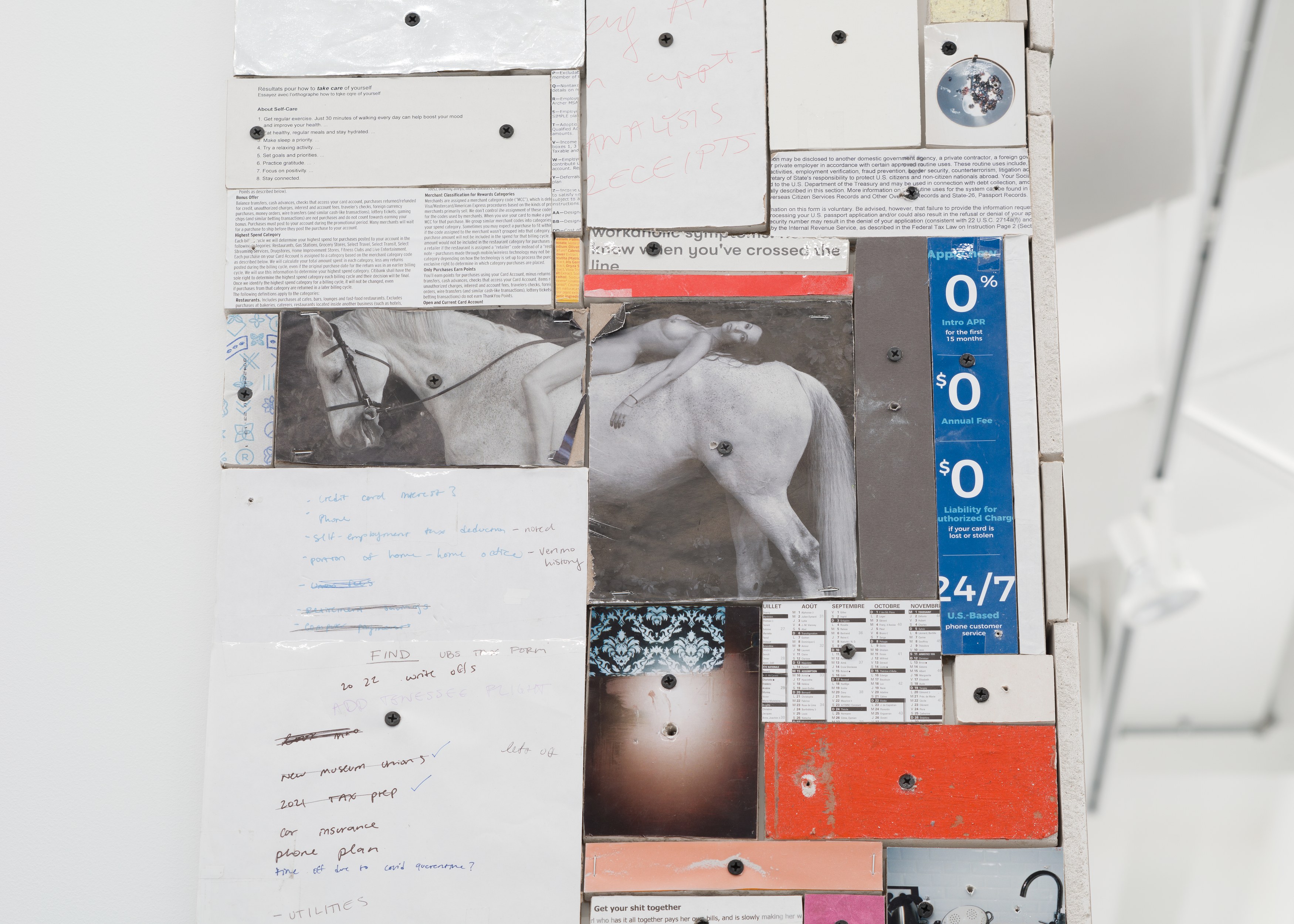 Sylvie Hayes-Wallace, Locked From the Inside at Chapter NY, photo 14