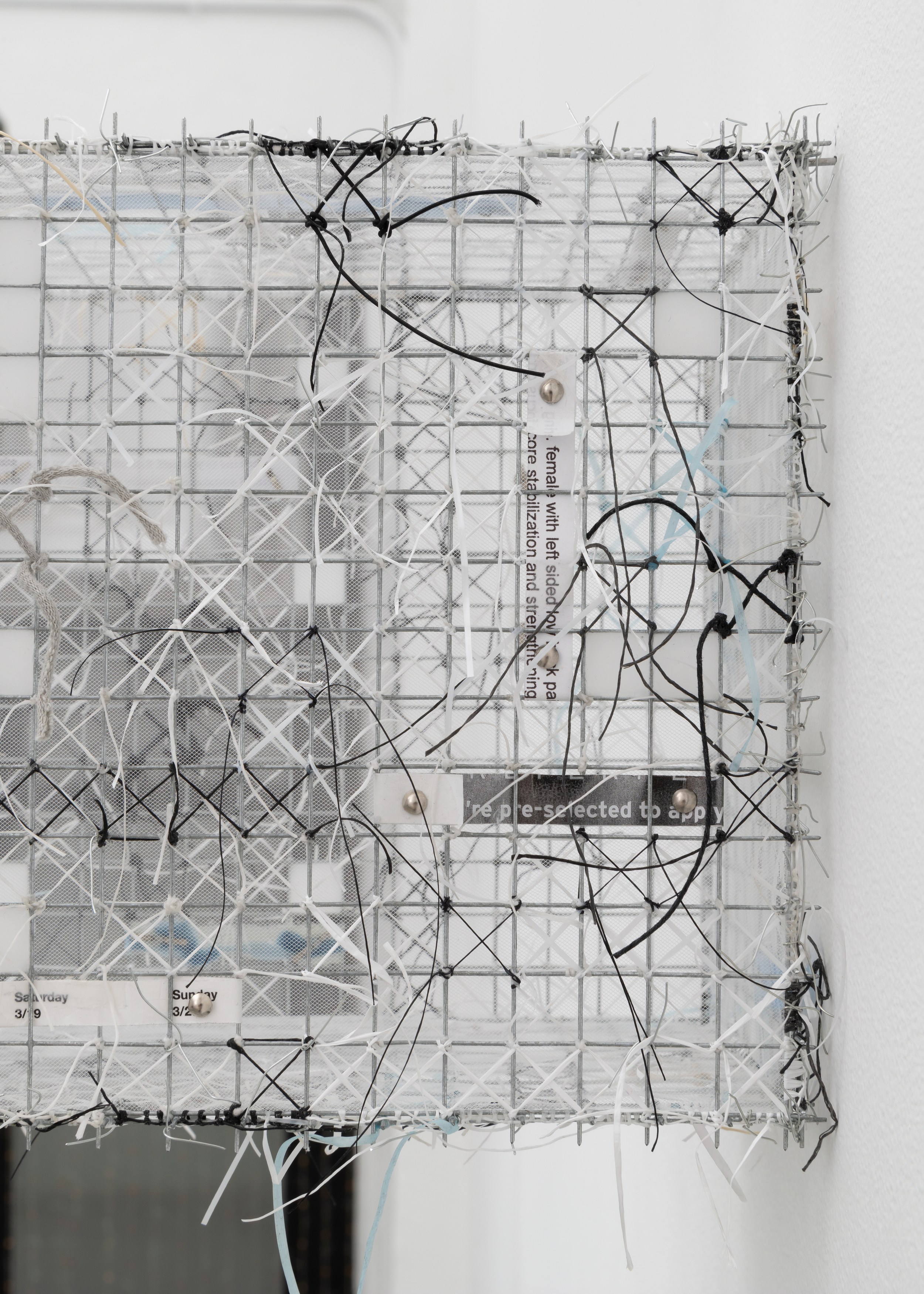 Sylvie Hayes-Wallace, Locked From the Inside at Chapter NY, photo 31