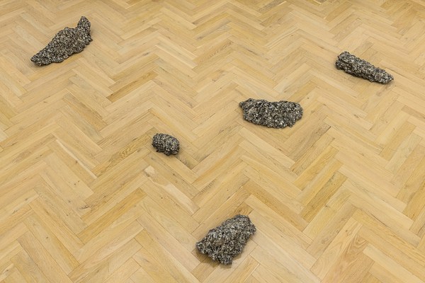 Image 5 of 24