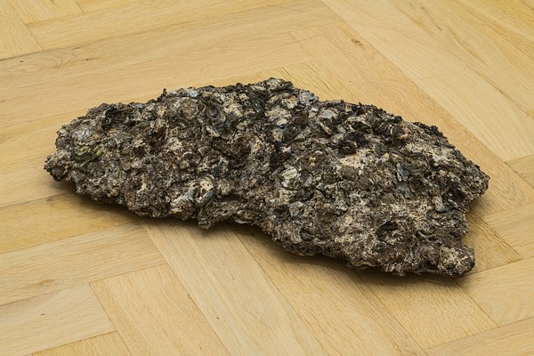 Image 7 of 24