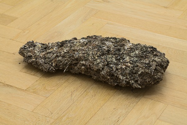 Image 8 of 24