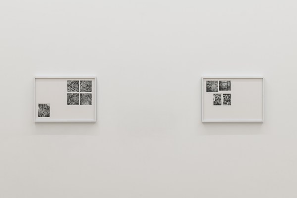 Image 10 of 24