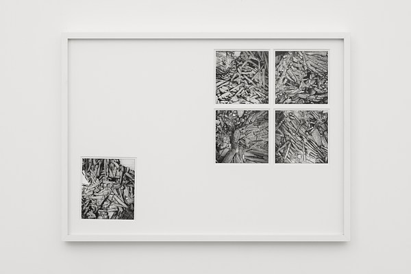 Image 11 of 24