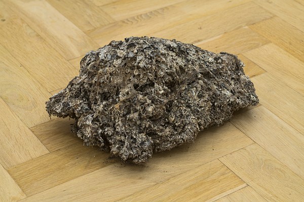 Image 14 of 24