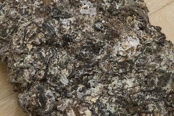Image 15 of 24