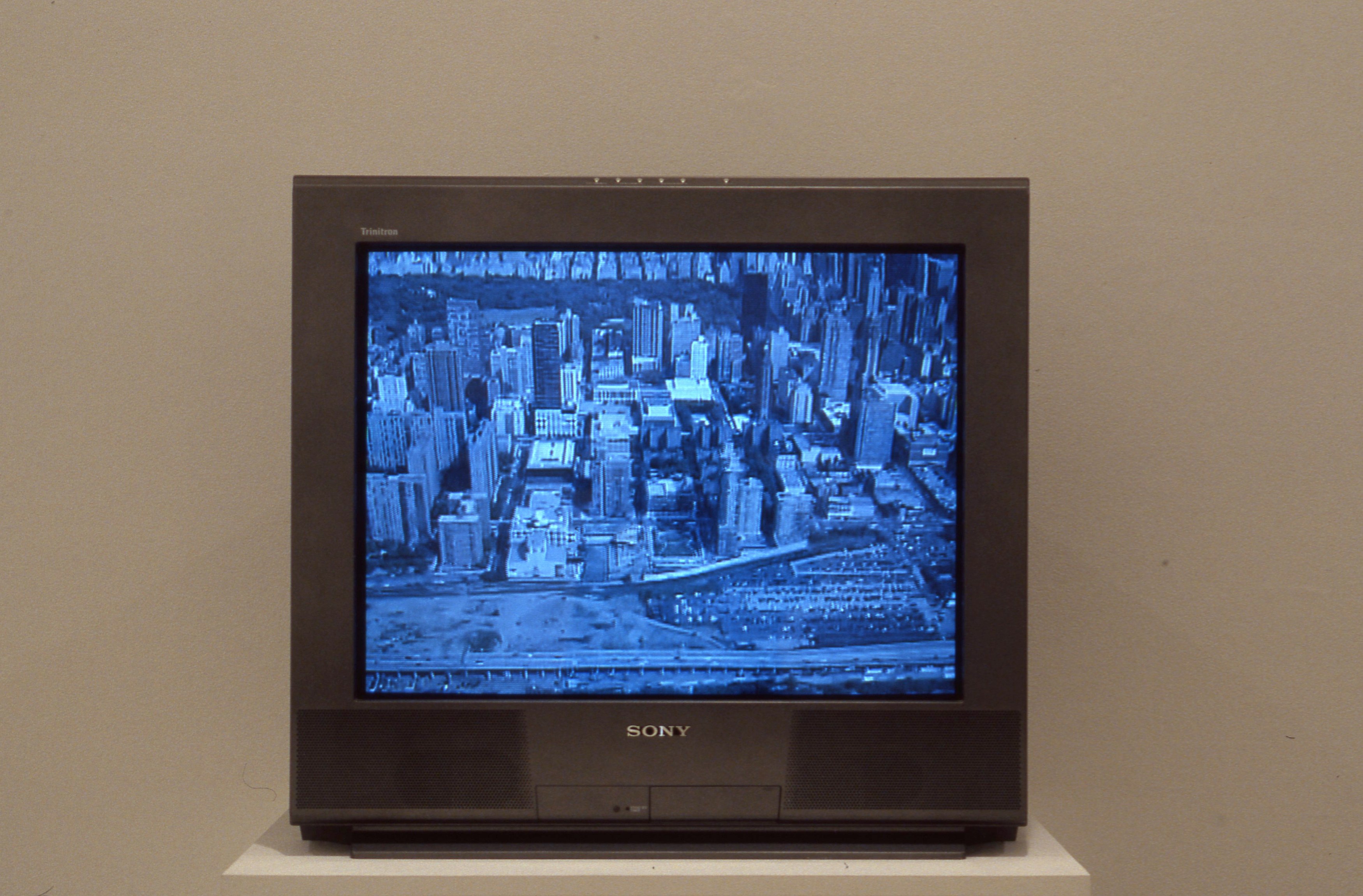 Lutz Bacher, Manhatta at American Fine Arts, photo 27