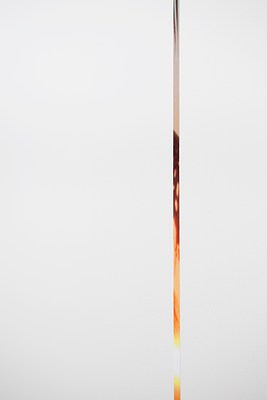 Image 12 of 12