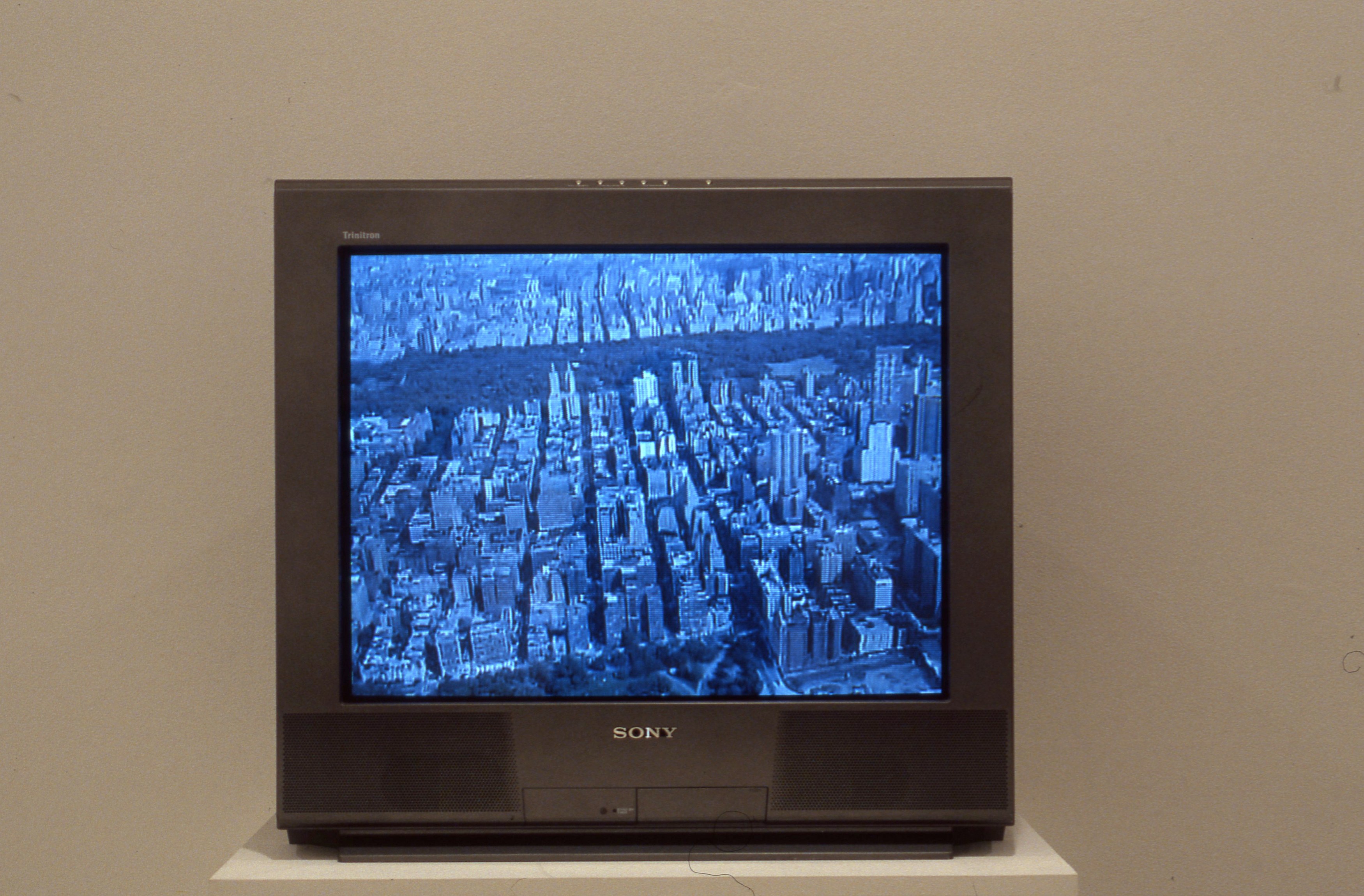 Lutz Bacher, Manhatta at American Fine Arts, photo 26