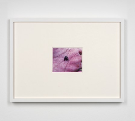 Image 9 of 11