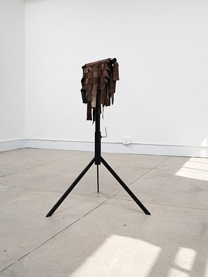 Image 19 of 22