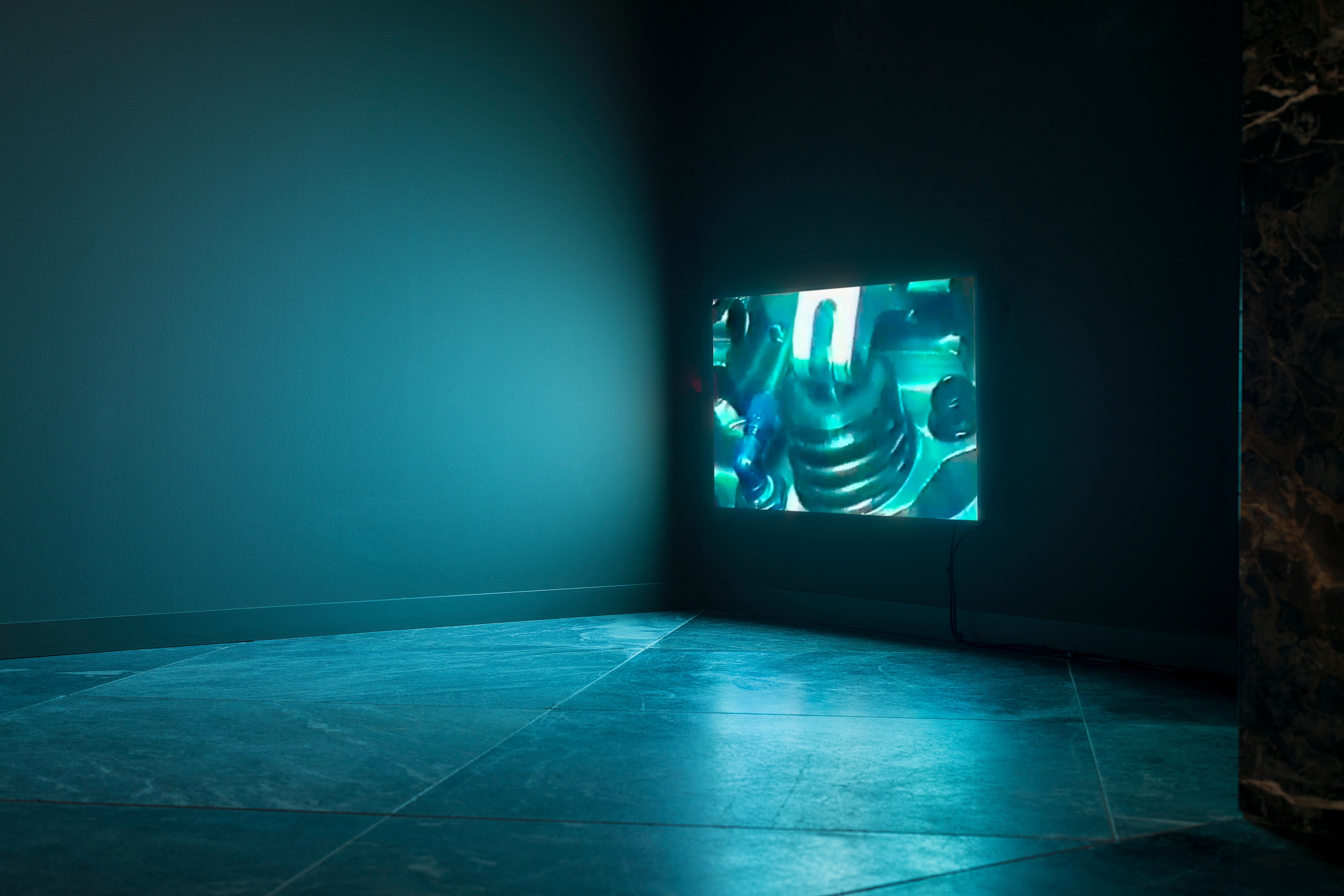 Patricia L. Boyd, Jason Hirata, Nina Könnemann, Michael E. Smith, Matt Welch, image 12 of 20