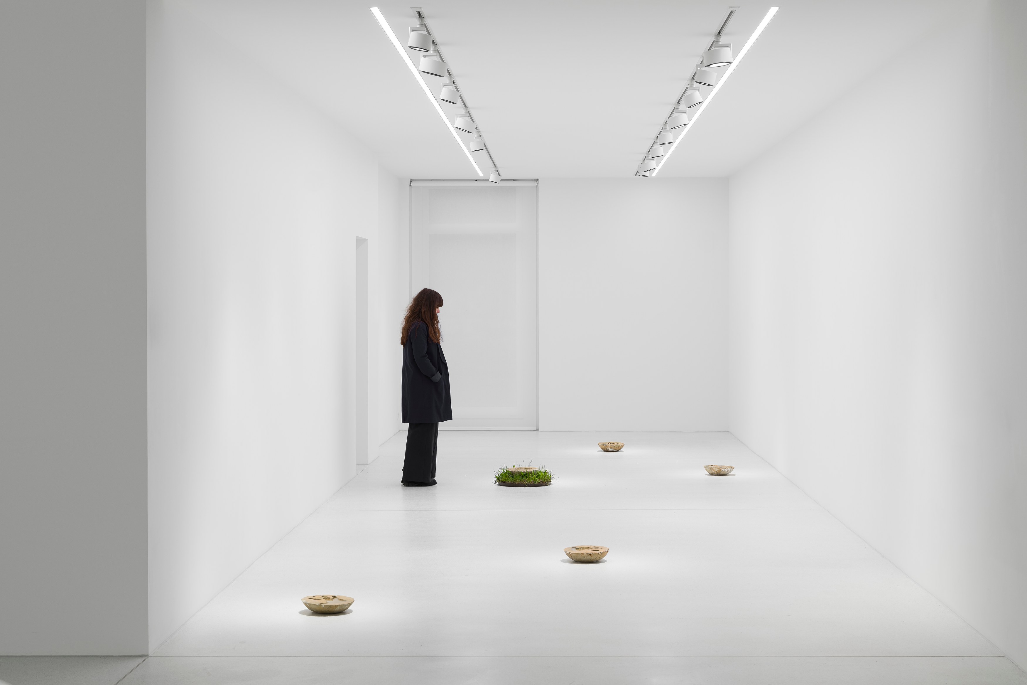 Mircea Cantor, Thirst for Stillness at Galeria Plan B, photo 4