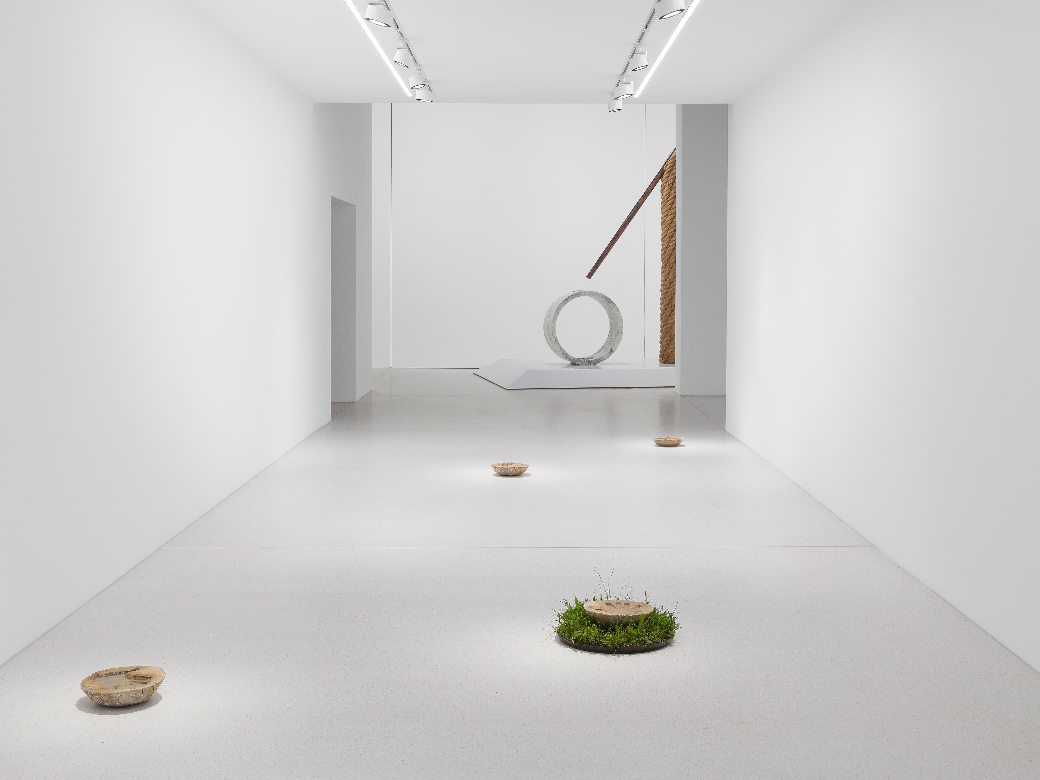 Mircea Cantor, Thirst for Stillness at Galeria Plan B, photo 5