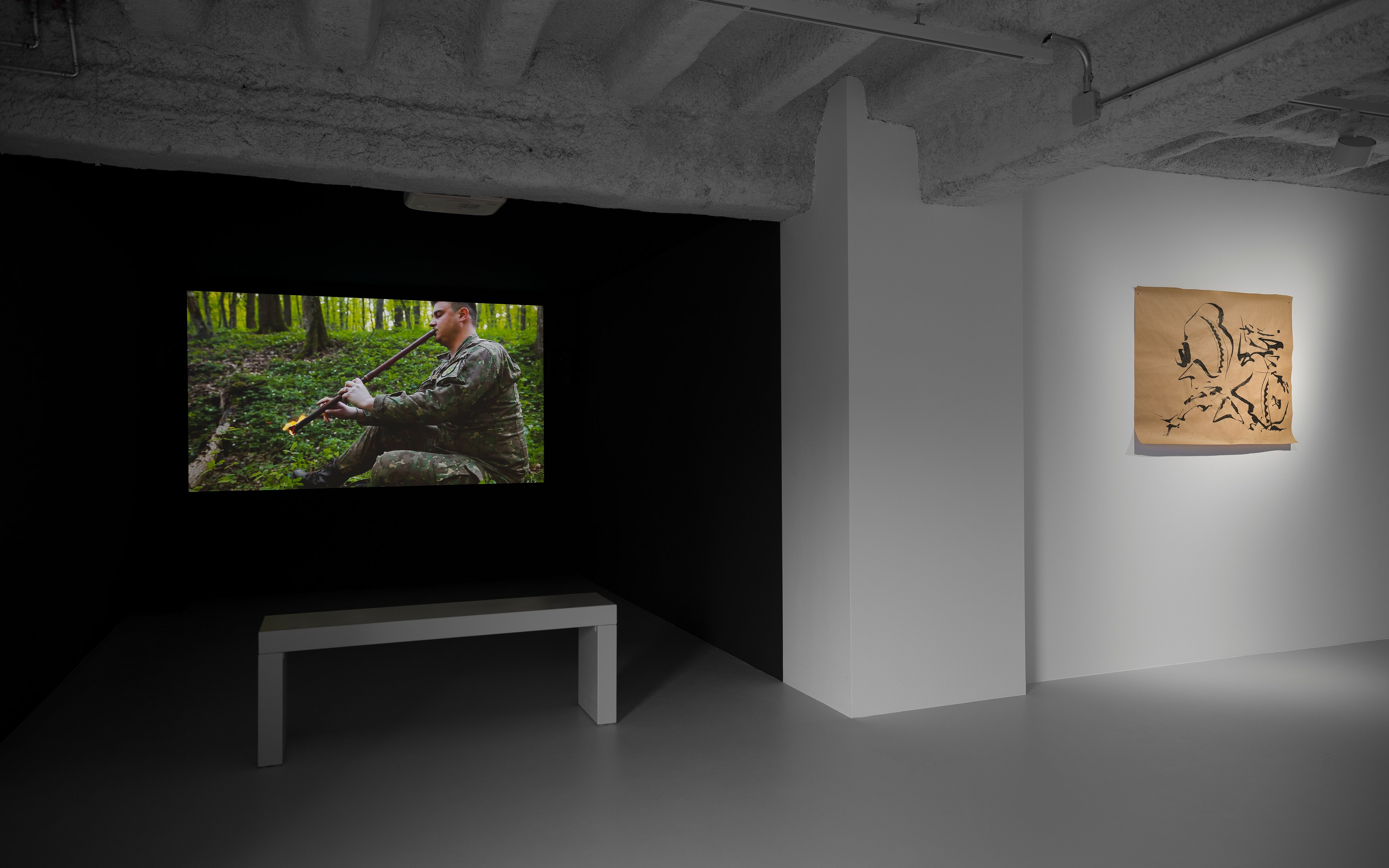 Mircea Cantor, Thirst for Stillness at Galeria Plan B, photo 8