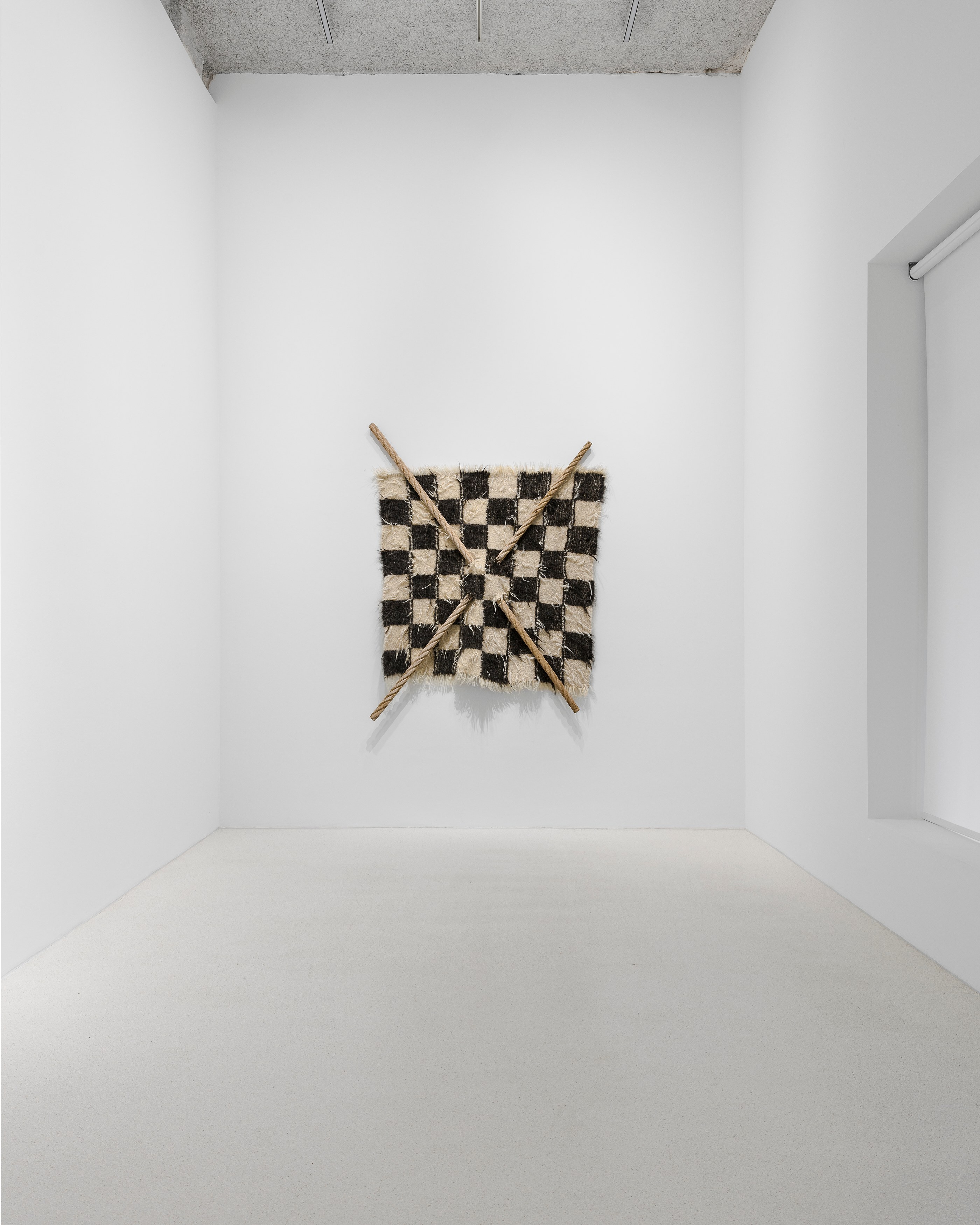 Mircea Cantor, Thirst for Stillness at Galeria Plan B, photo 13