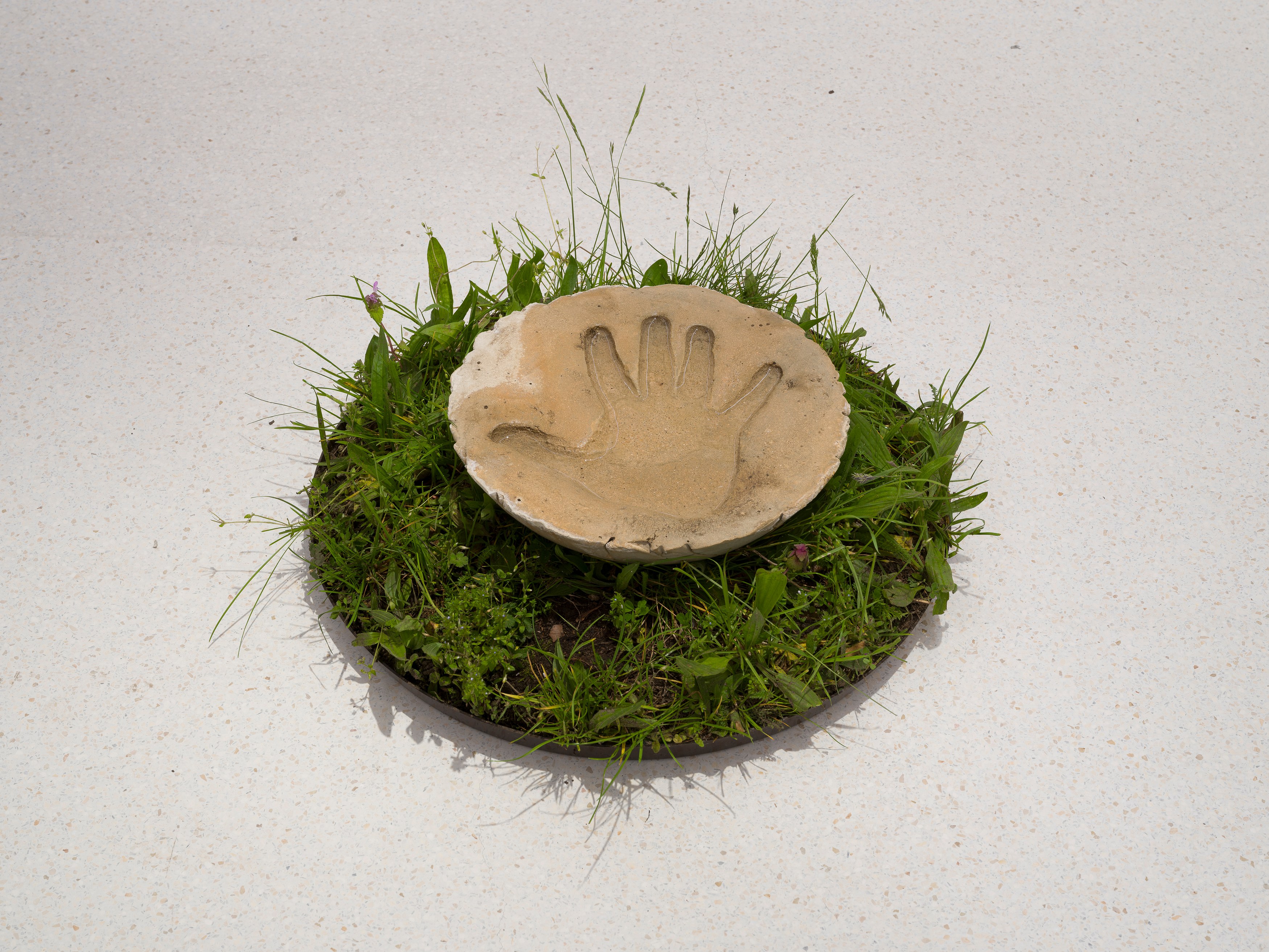 Mircea Cantor, Thirst for Stillness at Galeria Plan B, photo 14