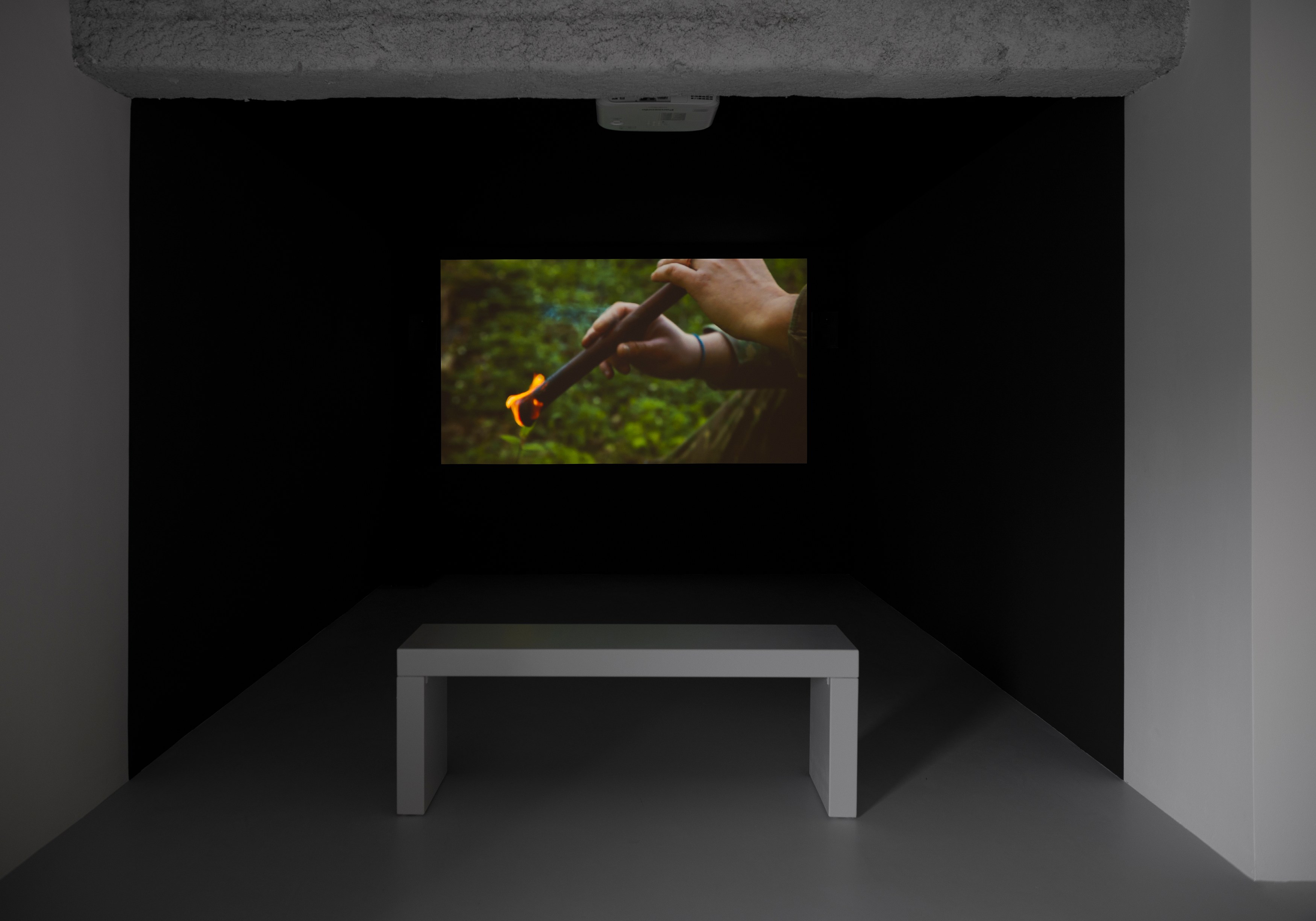 Mircea Cantor, Thirst for Stillness at Galeria Plan B, photo 16
