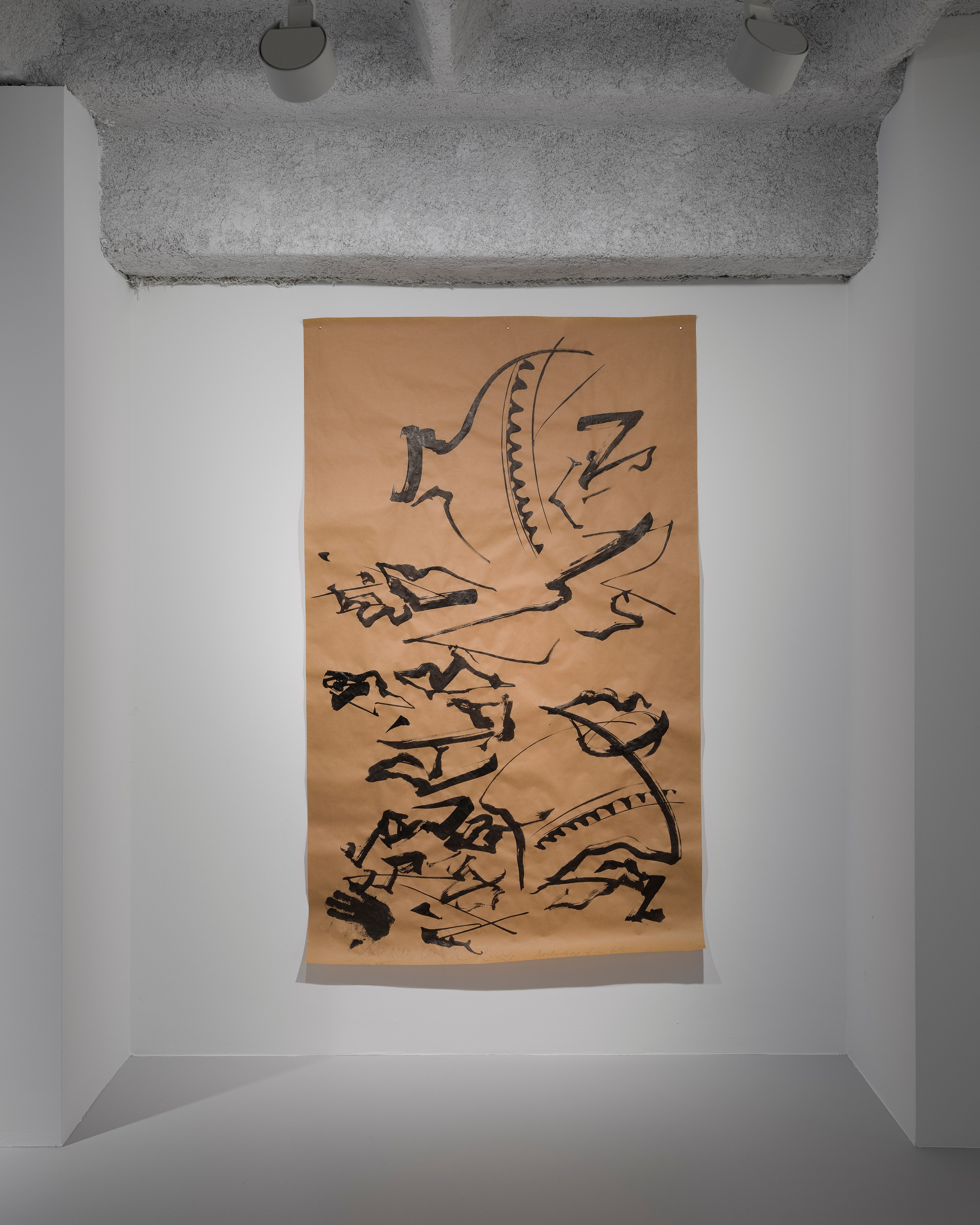 Mircea Cantor, Thirst for Stillness at Galeria Plan B, photo 15