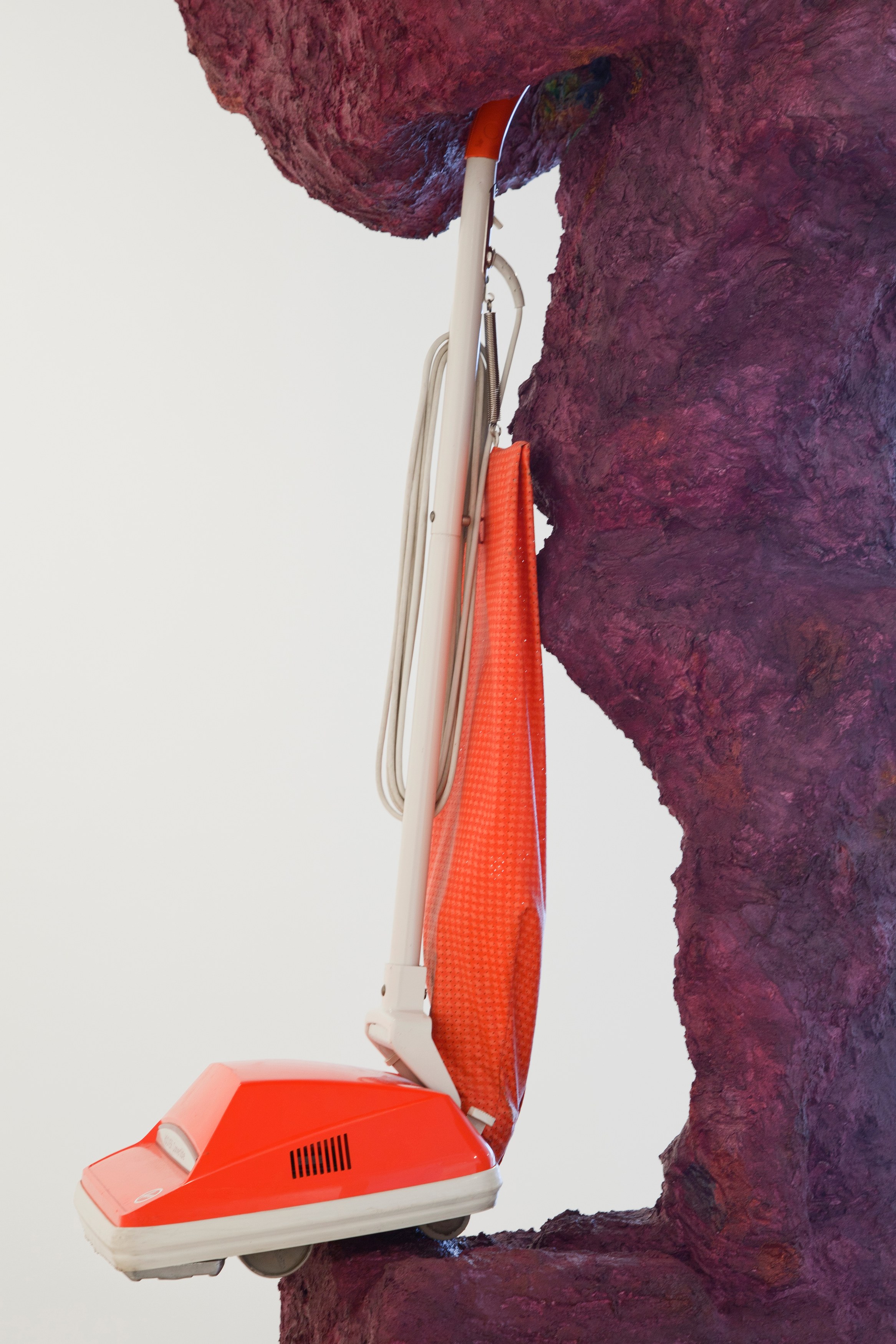 Rachel Harrison, The Help at Greene Naftali, photo 19