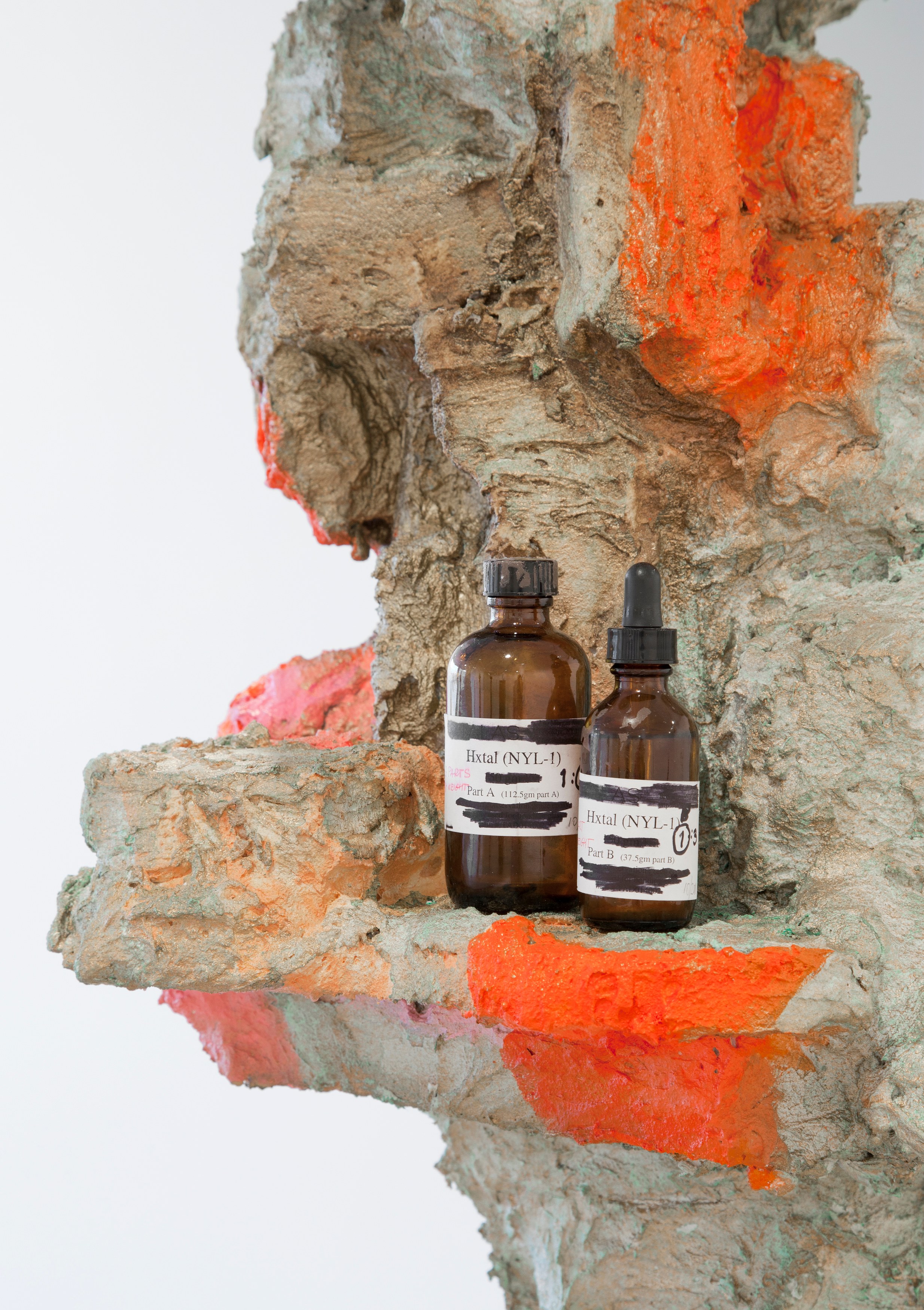 Rachel Harrison, The Help at Greene Naftali, photo 21