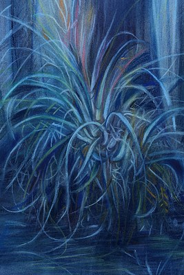 Image 17 of 19