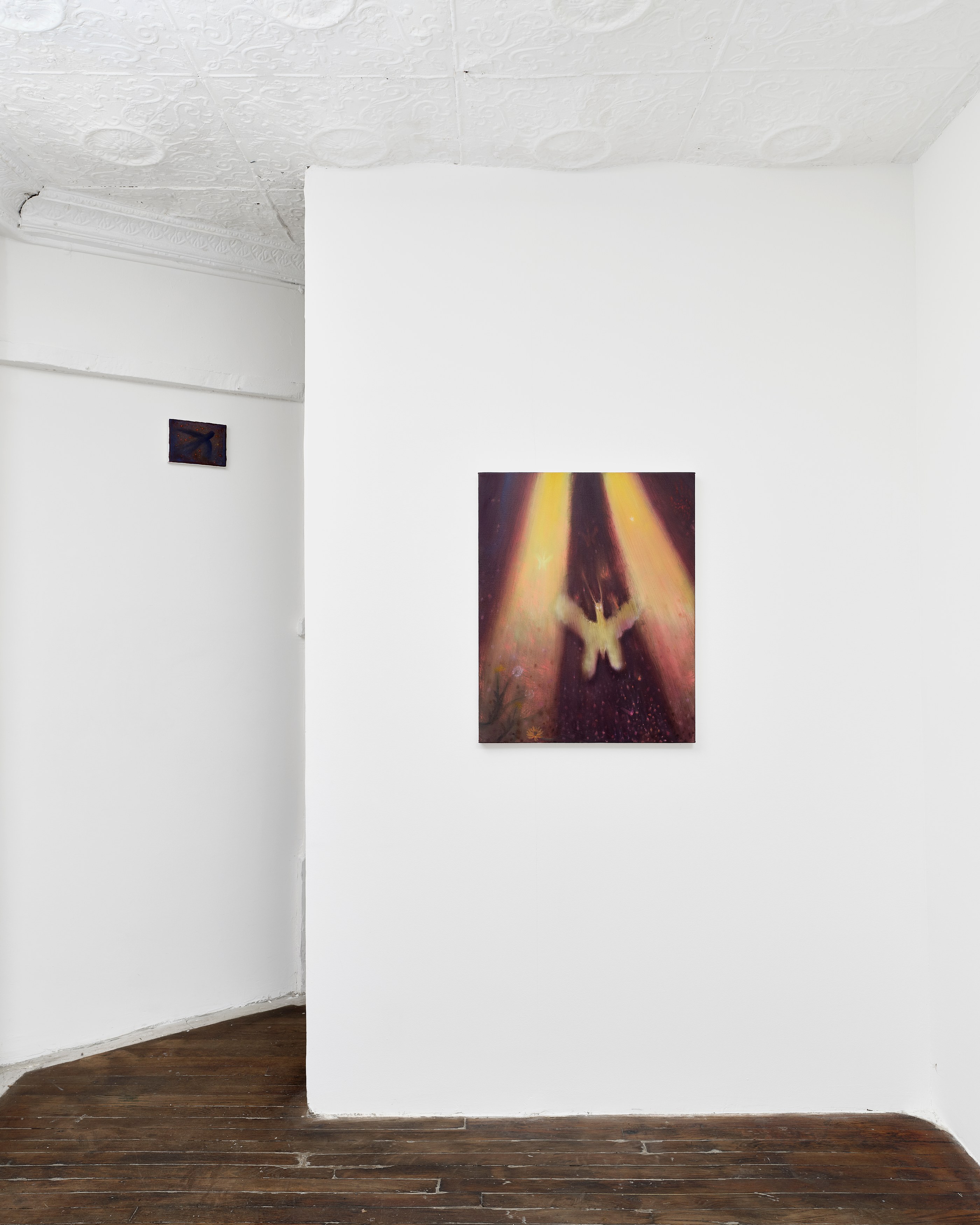 Calvin Kim, Soft Pangs at Situations, photo 8