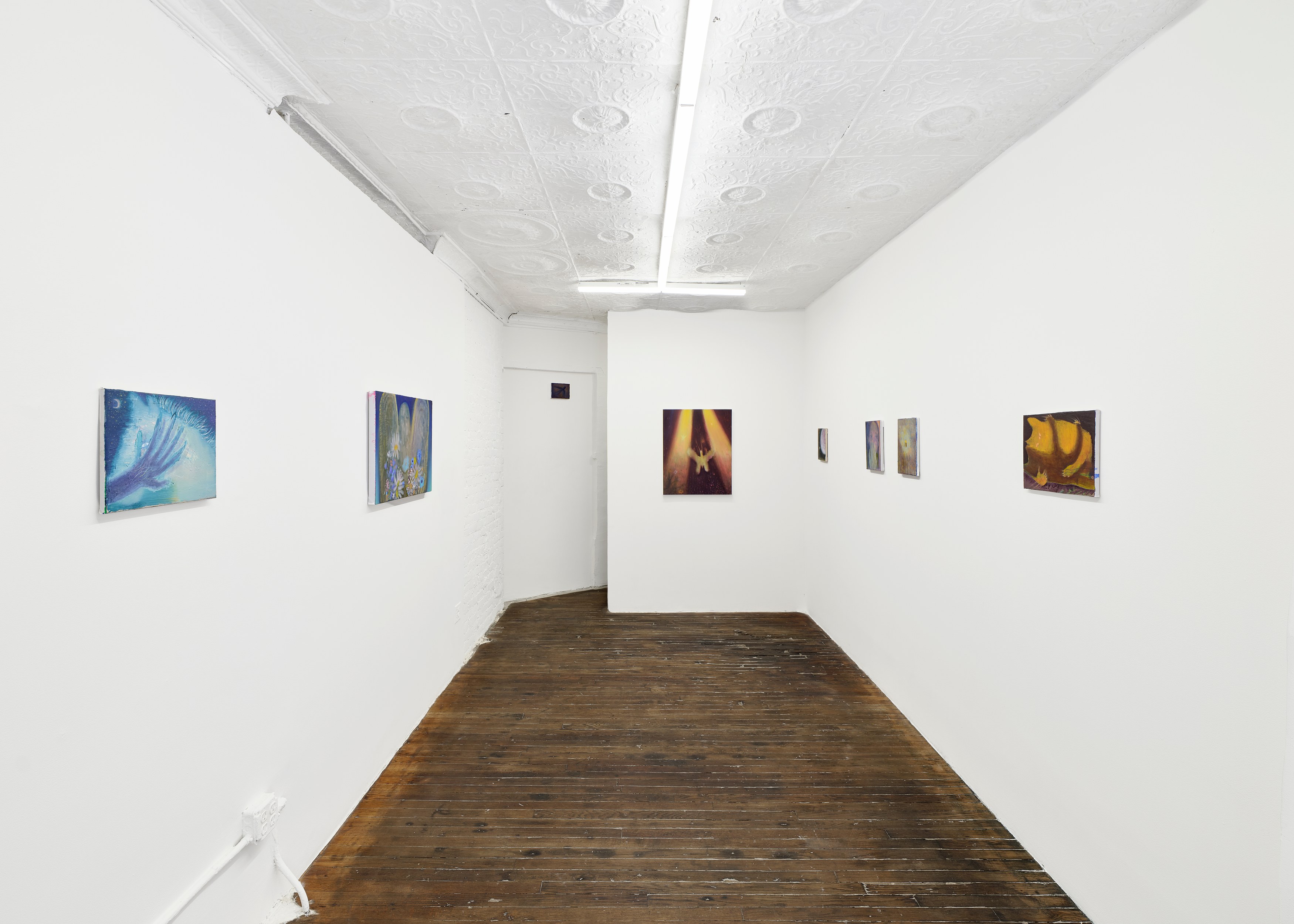 Calvin Kim, Soft Pangs at Situations, photo 2