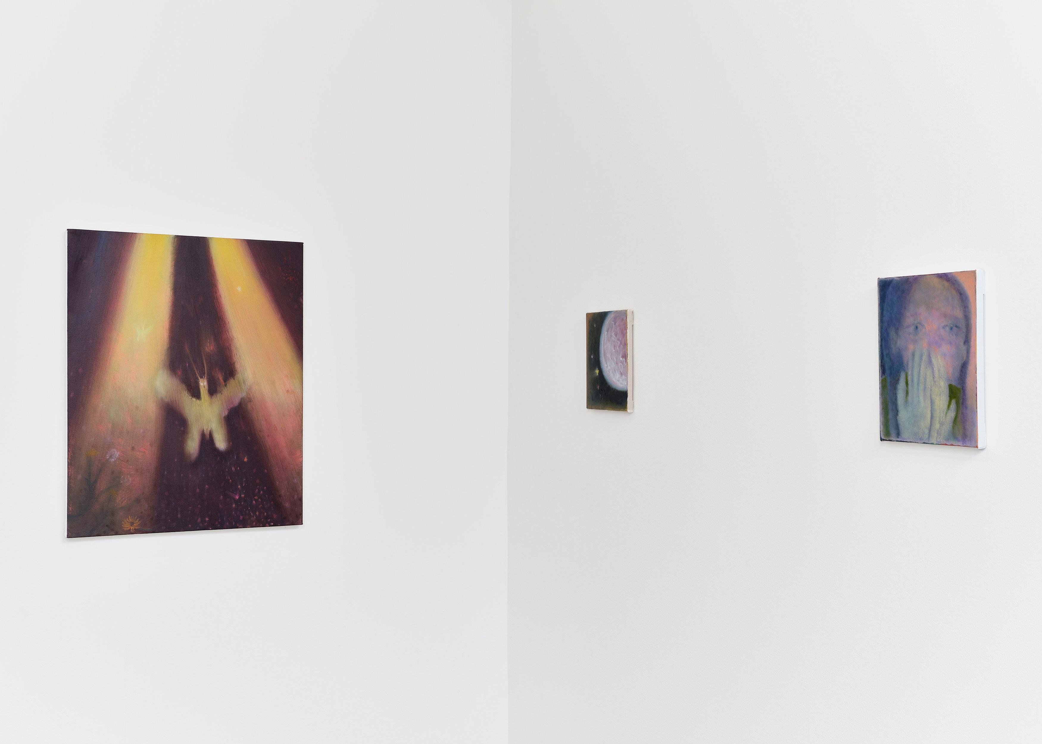 Calvin Kim, Soft Pangs at Situations, photo 10