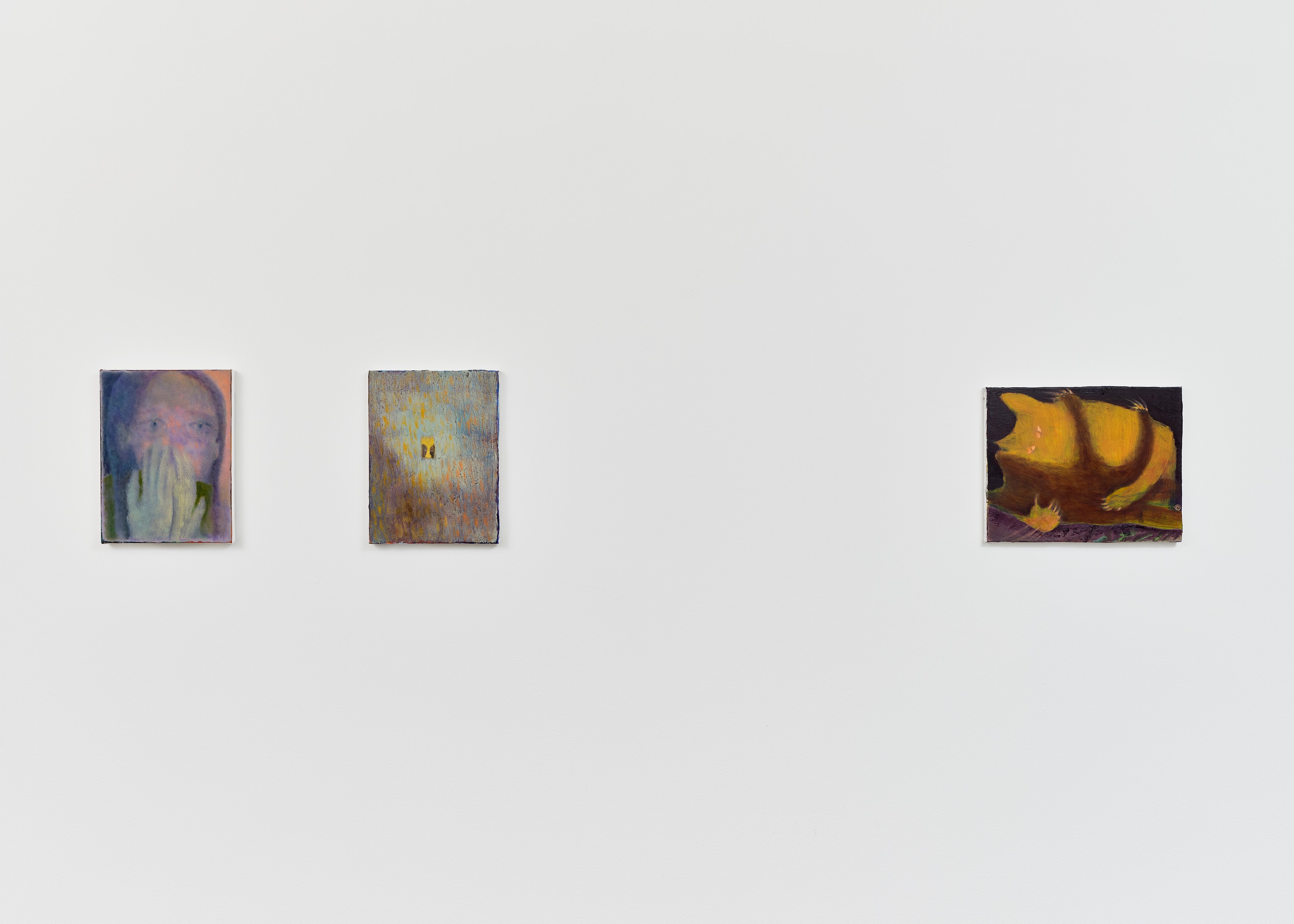 Calvin Kim, Soft Pangs at Situations, photo 12