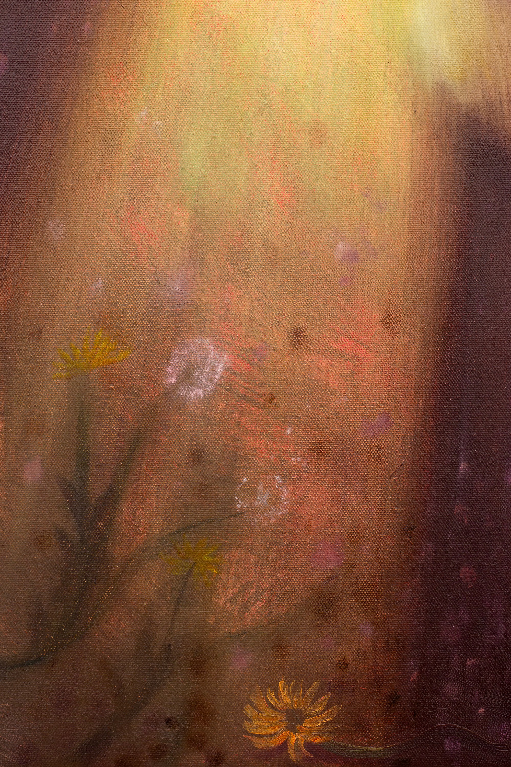 Calvin Kim, Soft Pangs at Situations, photo 20