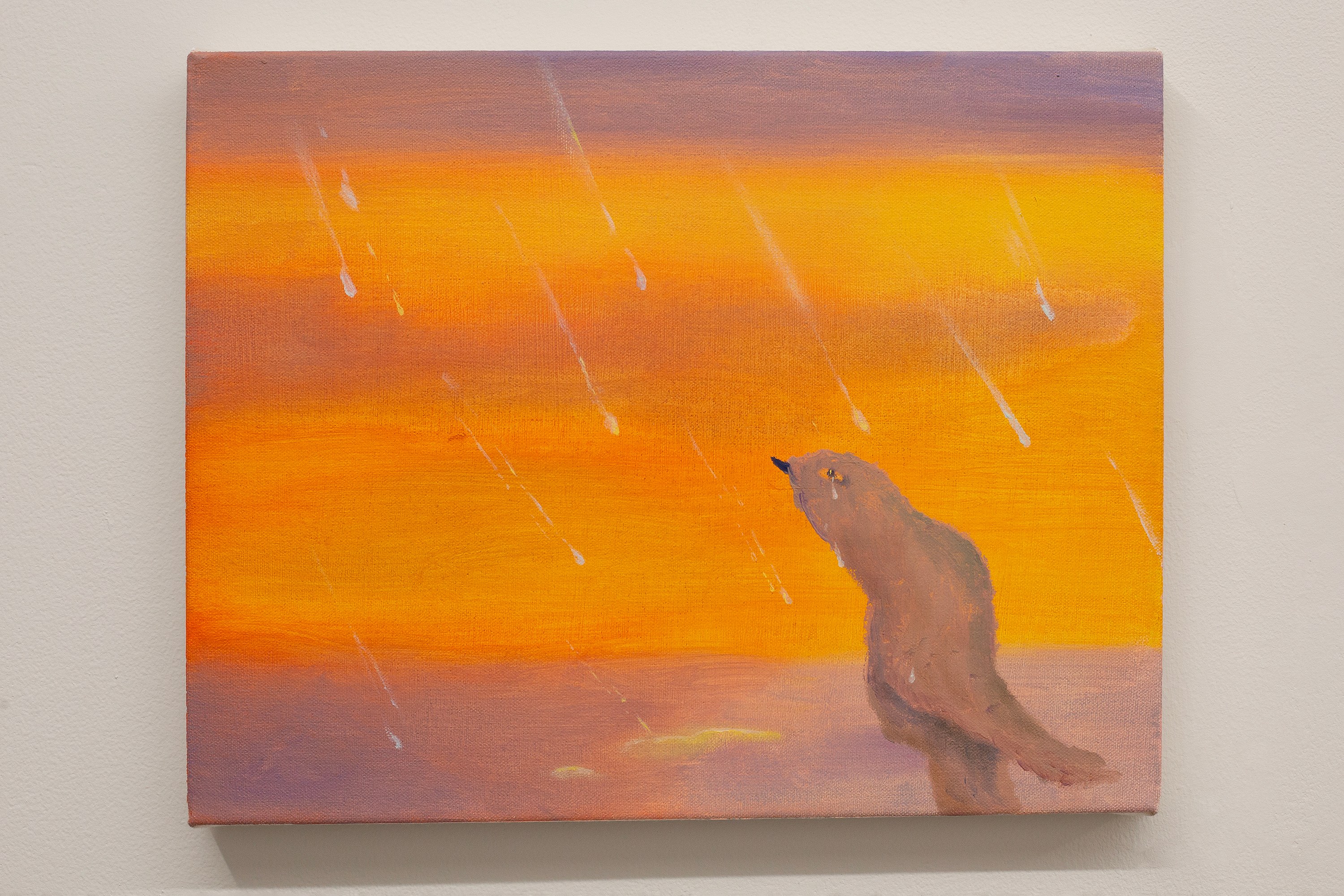 Calvin Kim, Soft Pangs at Situations, photo 28