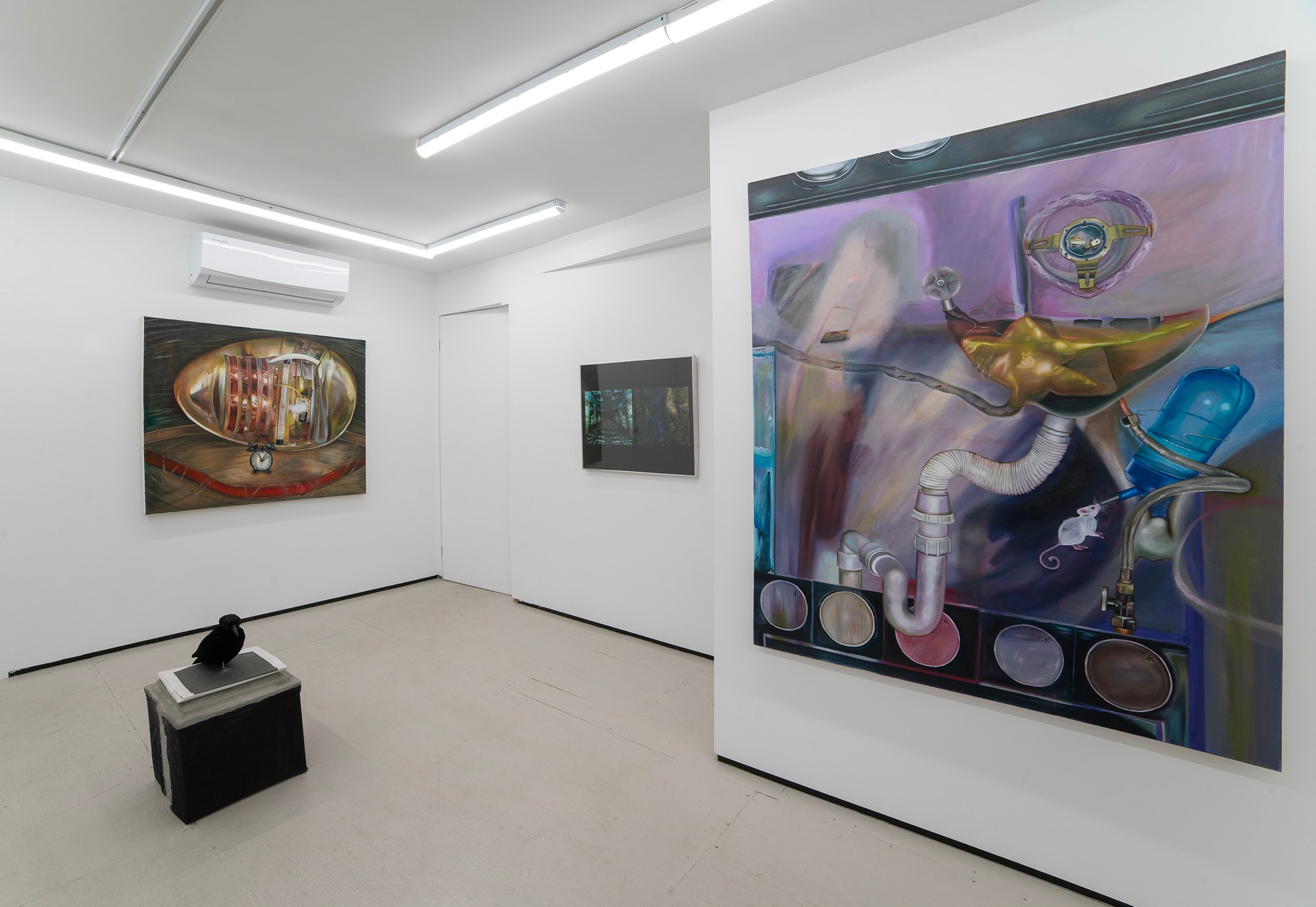 Installation view 4