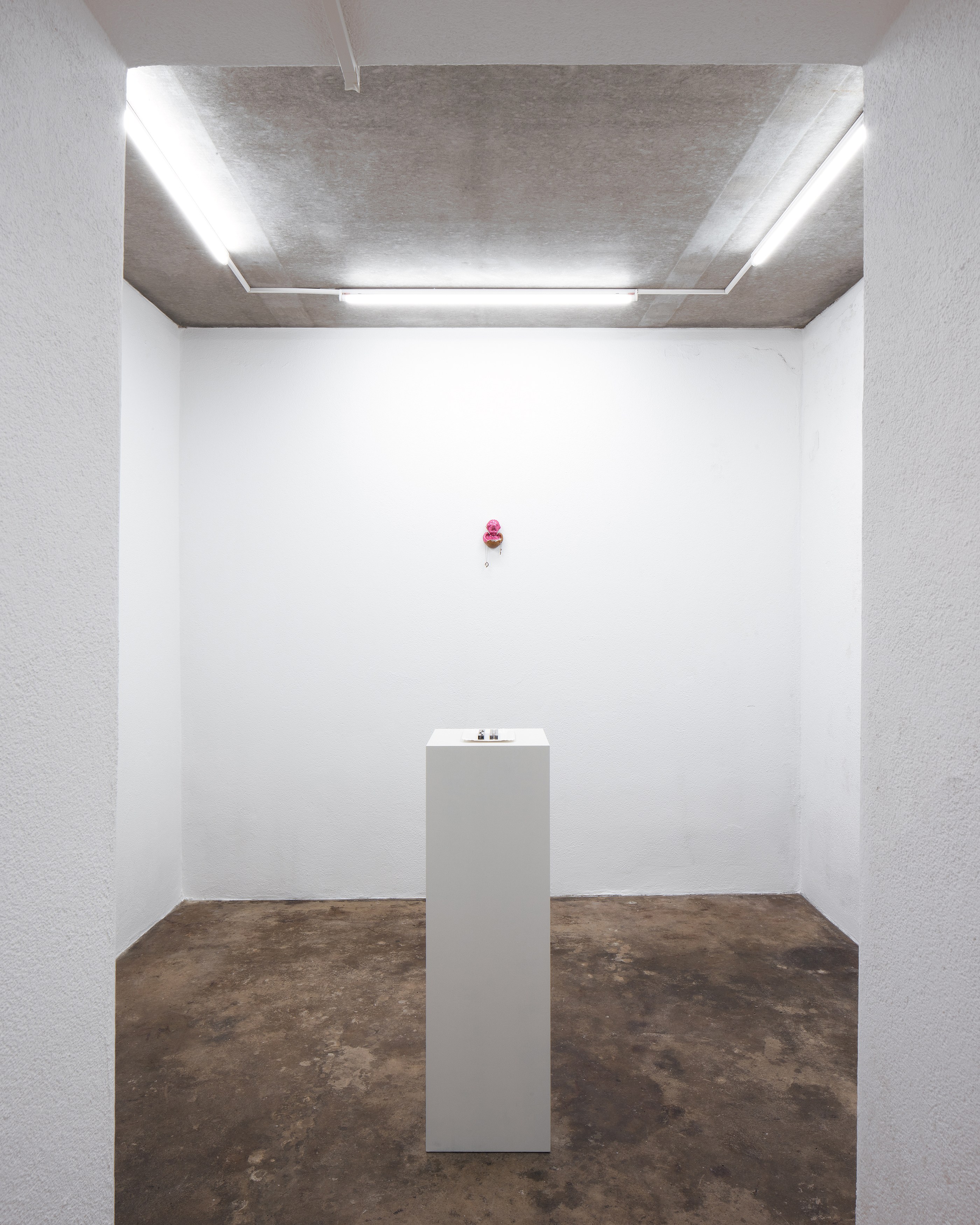 Schirin Charlot Djafar-Zadeh, Tomomi Yamakawa, Wafers at CHB-2, photo 4