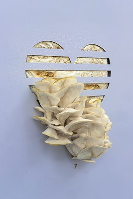 Image 10 of 21