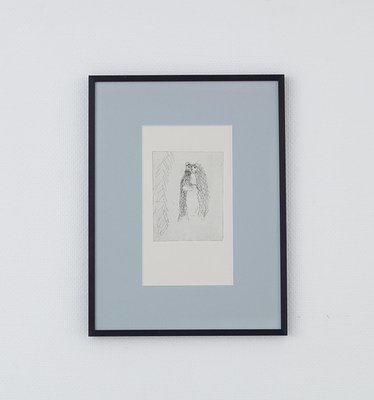 Image 2 of 38