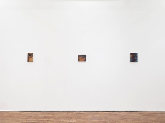 Image 4 of 14