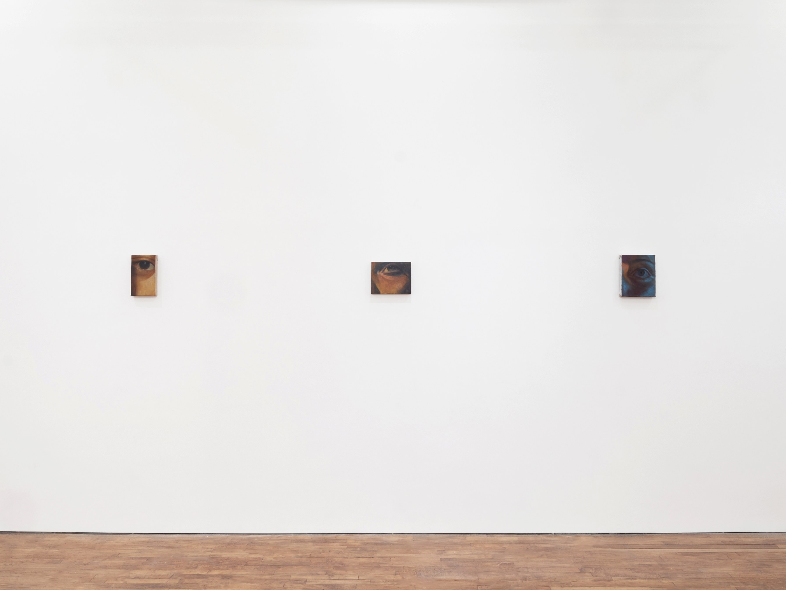 Pei Wang, Mute at Tara Downs, photo 4