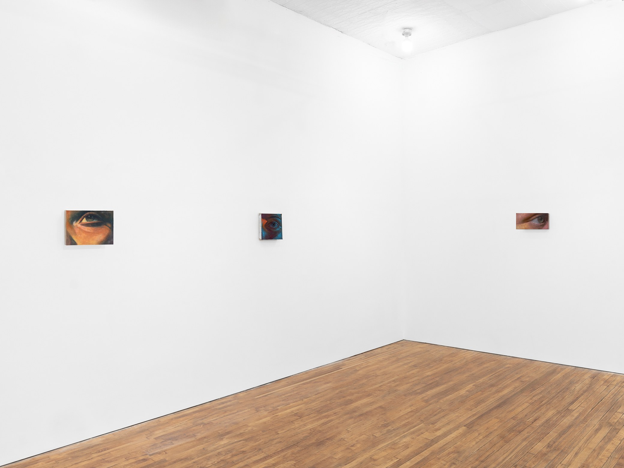 Pei Wang, Mute at Tara Downs, photo 6