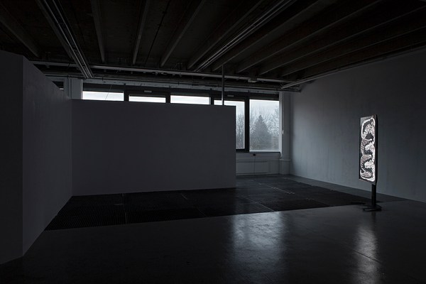 Image 3 of 11