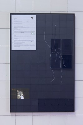 Image 11 of 14