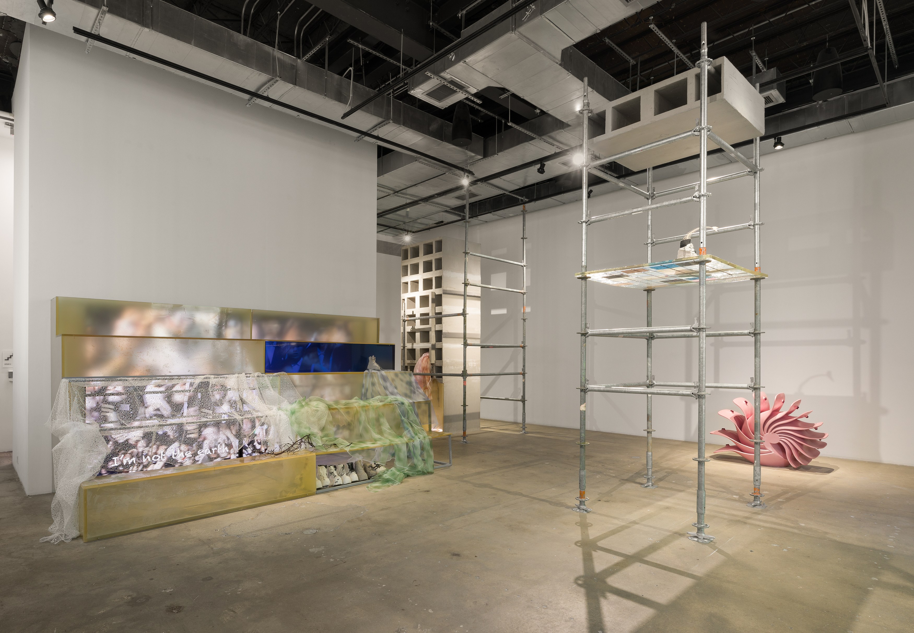 Shuang Li, I’m Not at Swiss Institute, photo 7