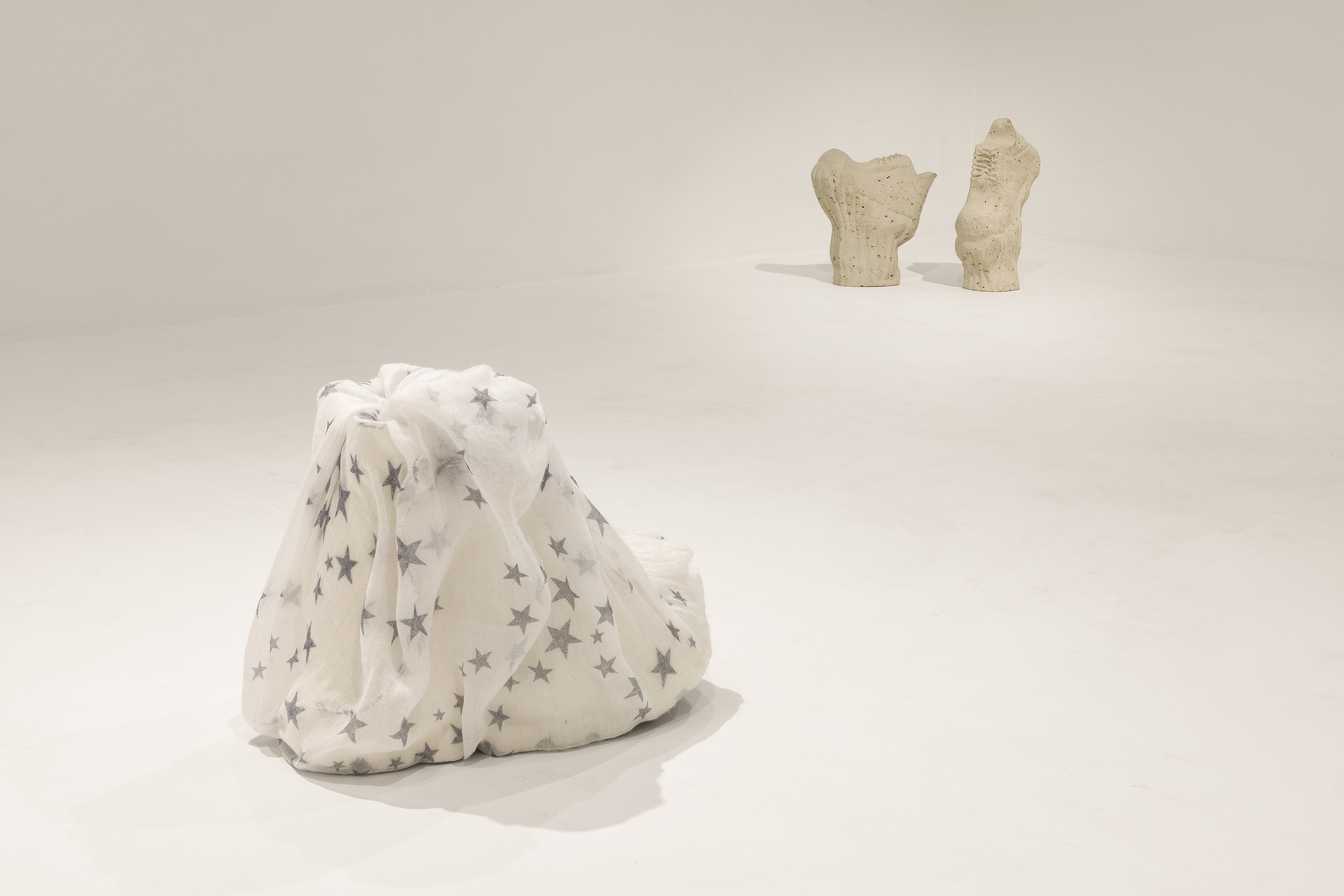 Shuang Li, I’m Not at Swiss Institute, photo 16