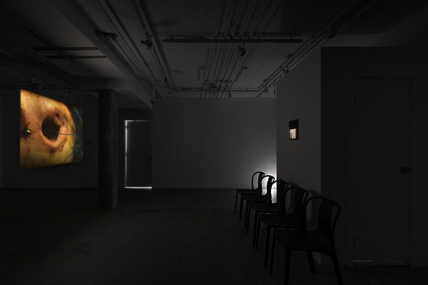 Image 7 of 25