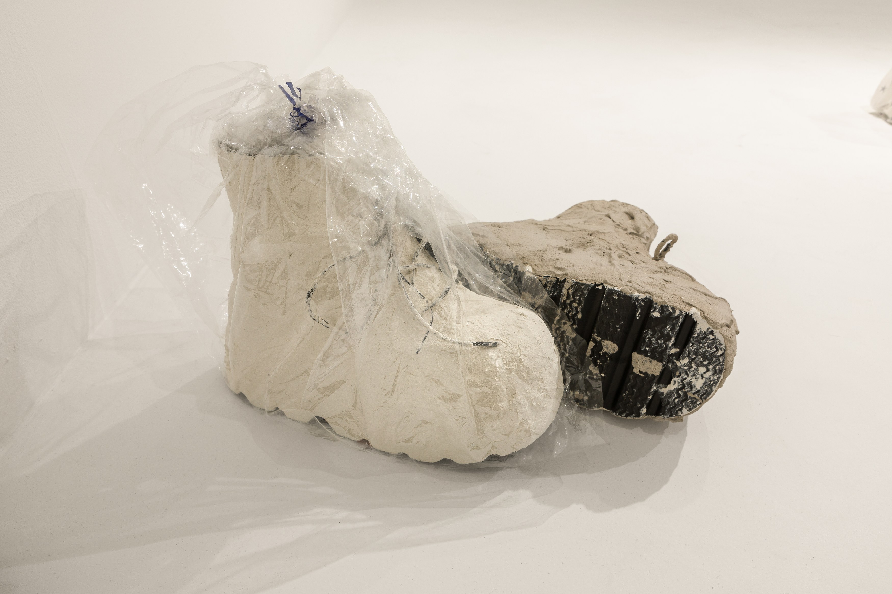Shuang Li, I’m Not at Swiss Institute, photo 17