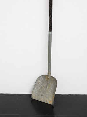 Image 17 of 41