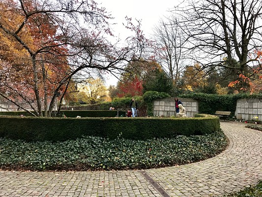 Image 17 of 23