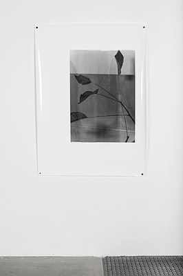 Image 2 of 11