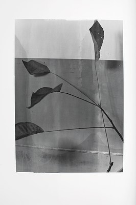 Image 3 of 11