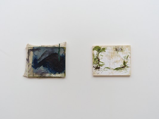 Image 4 of 19